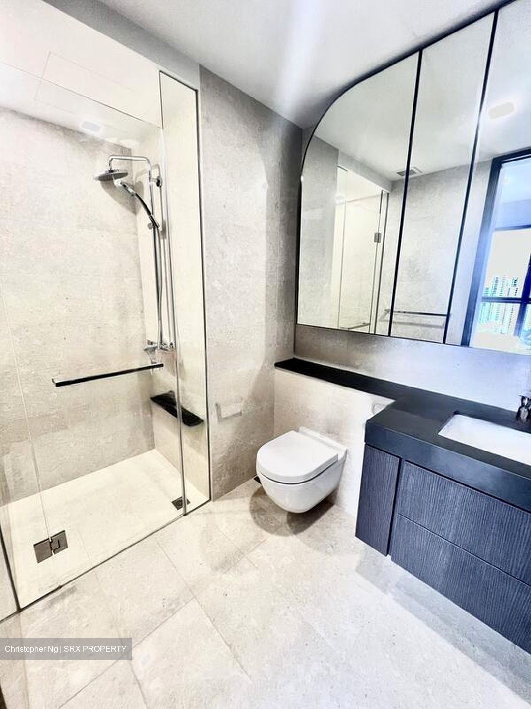 Avenue South Residence (D3), Apartment #448801121